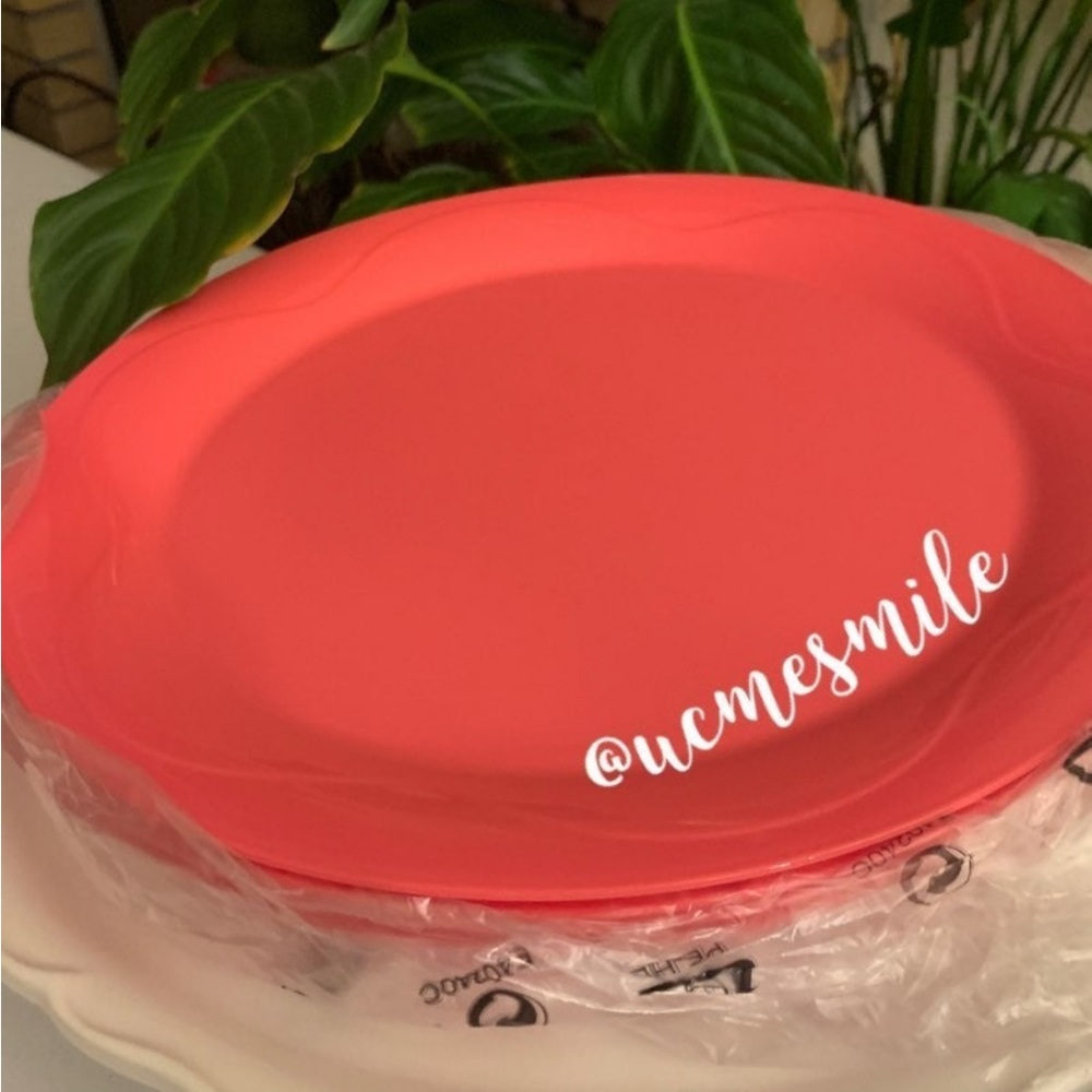 Tupperware Floresta Open House Large Dinner Plates